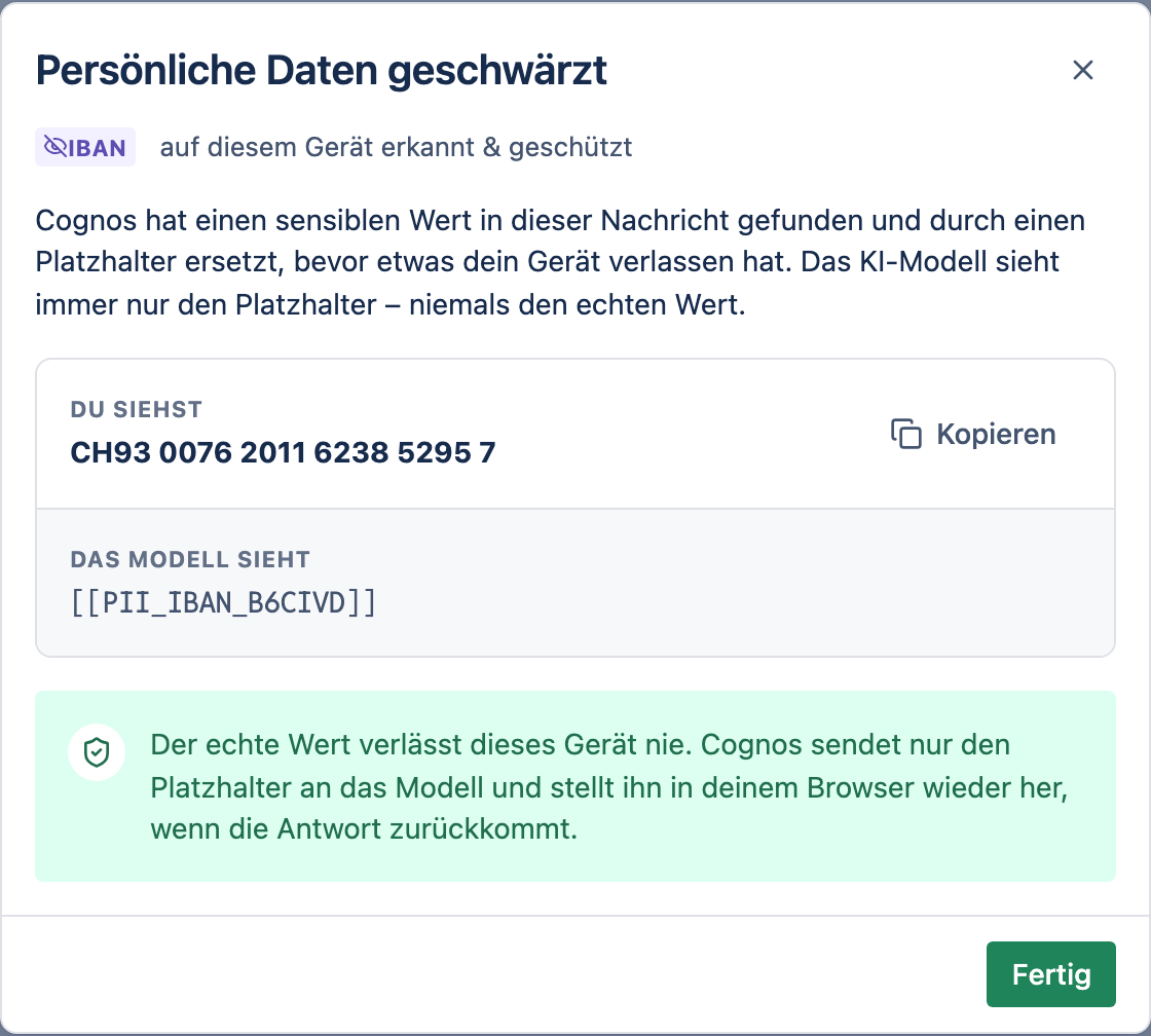 Das Fenster Persönliche Daten geschwärzt, das vergleicht, was du siehst, mit dem, was das Modell gesehen hat.