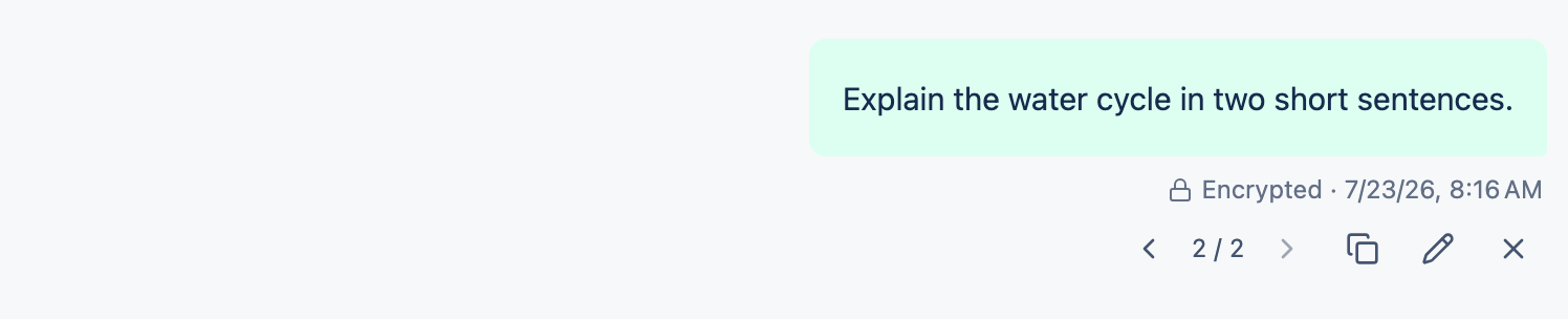 Un turno di conversazione che mostra un selettore di versione con frecce avanti e indietro.
