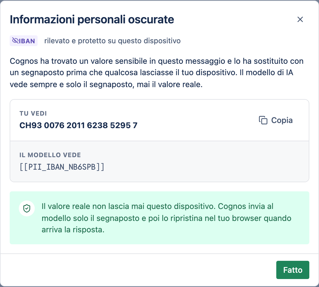 La finestra Informazioni personali oscurate che confronta ciò che vedi con ciò che ha visto il modello.