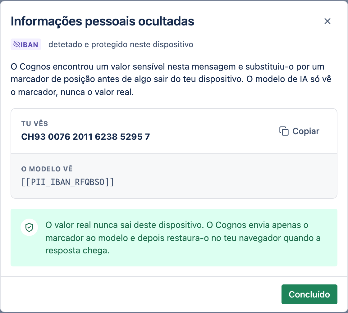 A janela Informações pessoais ocultadas a comparar o que tu vês com o que o modelo viu.
